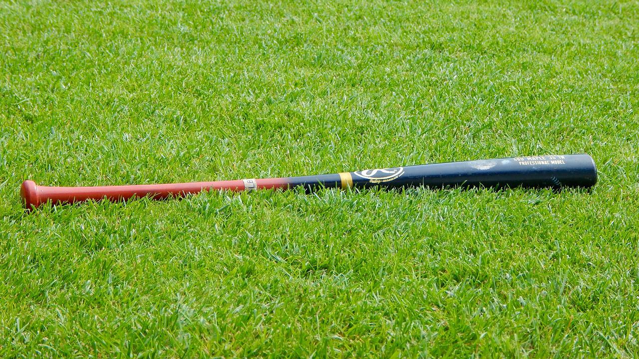 Baseball bat on the grass 