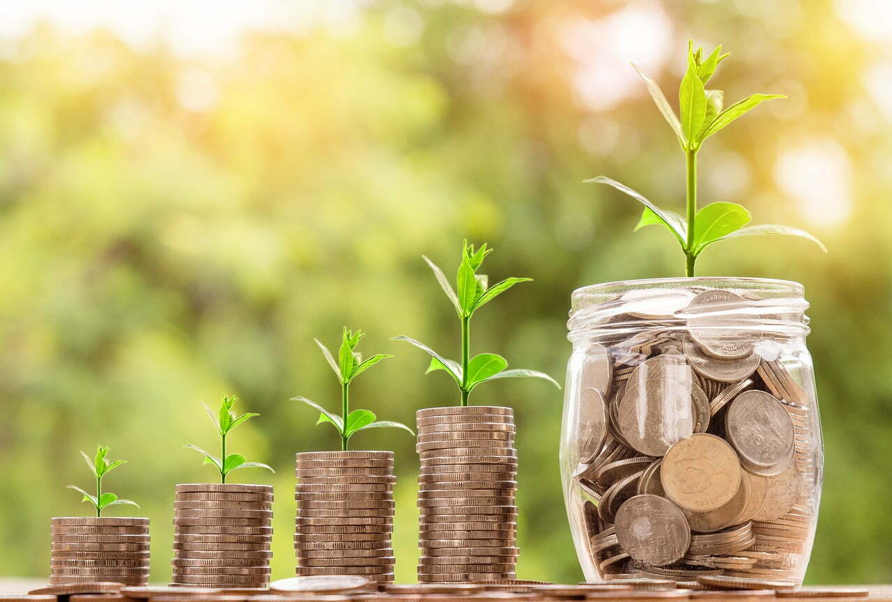 Investing is like growing money like a plant