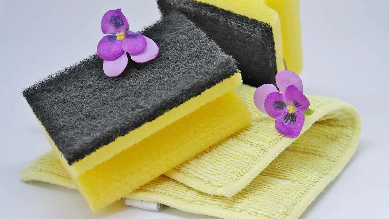 Sponges with flowers on top