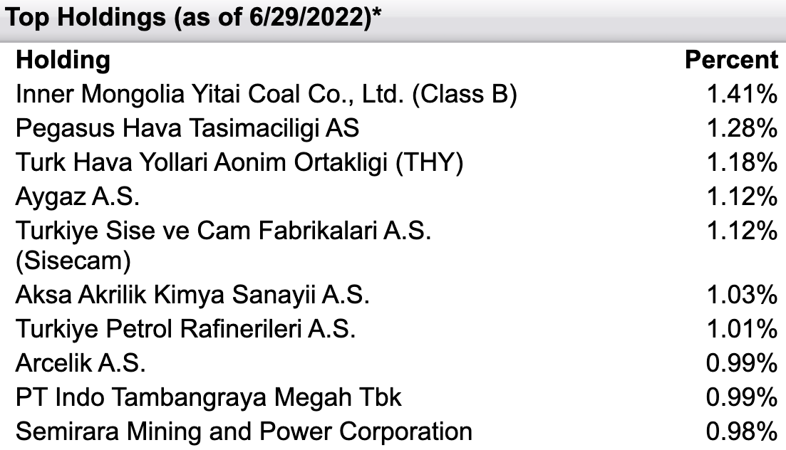 FEMS Top Holdings