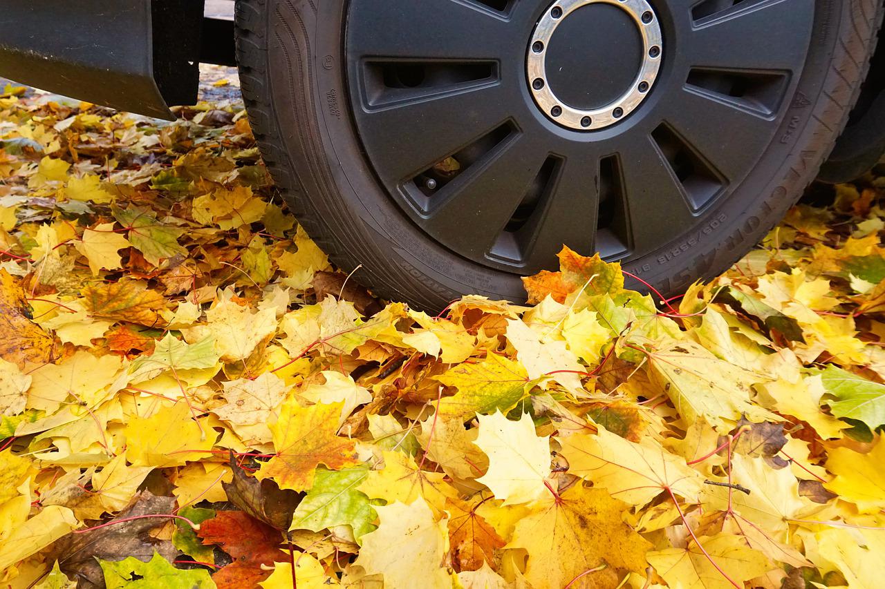 10 Ways to Improve the Ray Dalio All-Weather Portfolio with Automobile tire in the fall with leaves on the ground