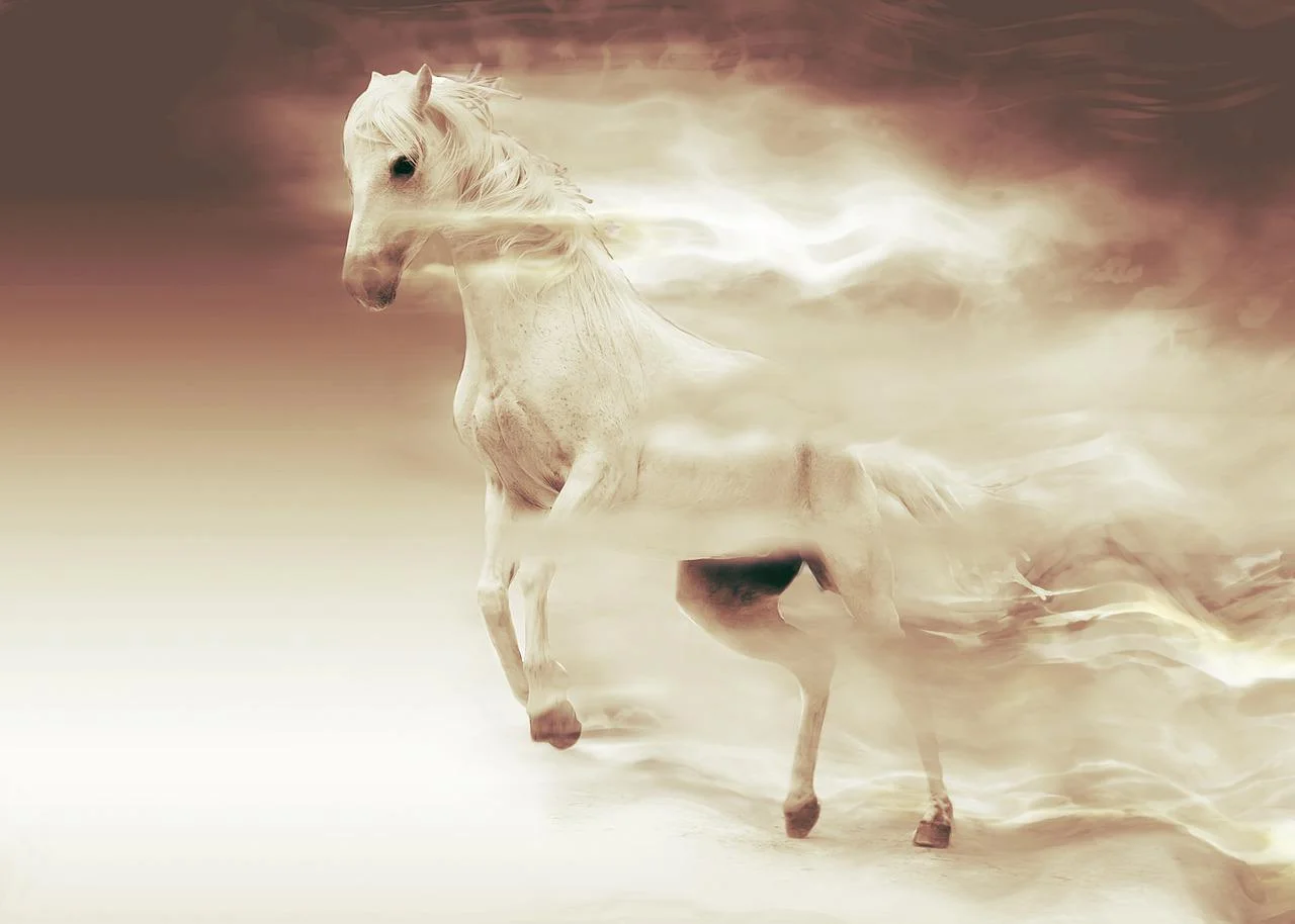 Enhanced horse image