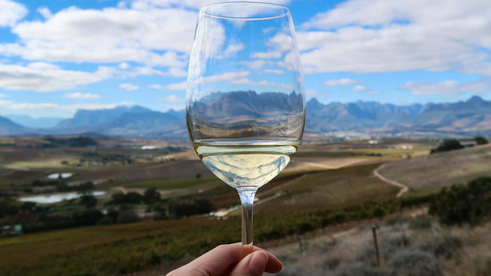 Wine tourism in South Africa in an Emerging Markets country