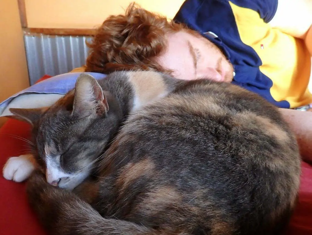 Nomadic Samuel sleeping with a cat during siesta time while traveling in South Africa