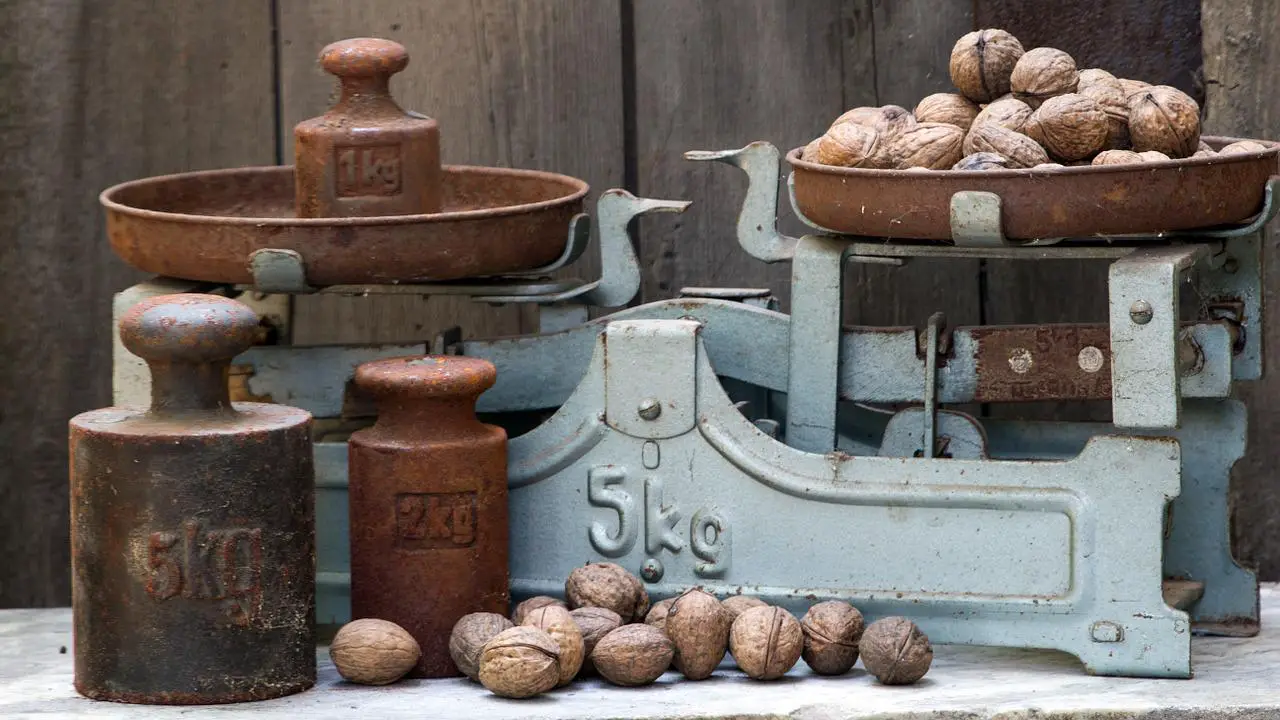 Weighing chestnuts on a balance machine 