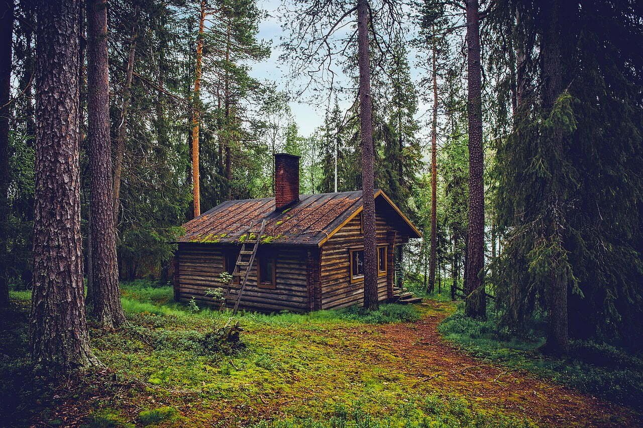 Scenic log cabin home in the woods