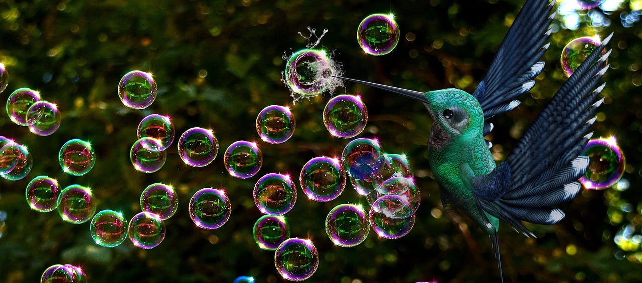 Soap bubbles bursting with a bird poking them
