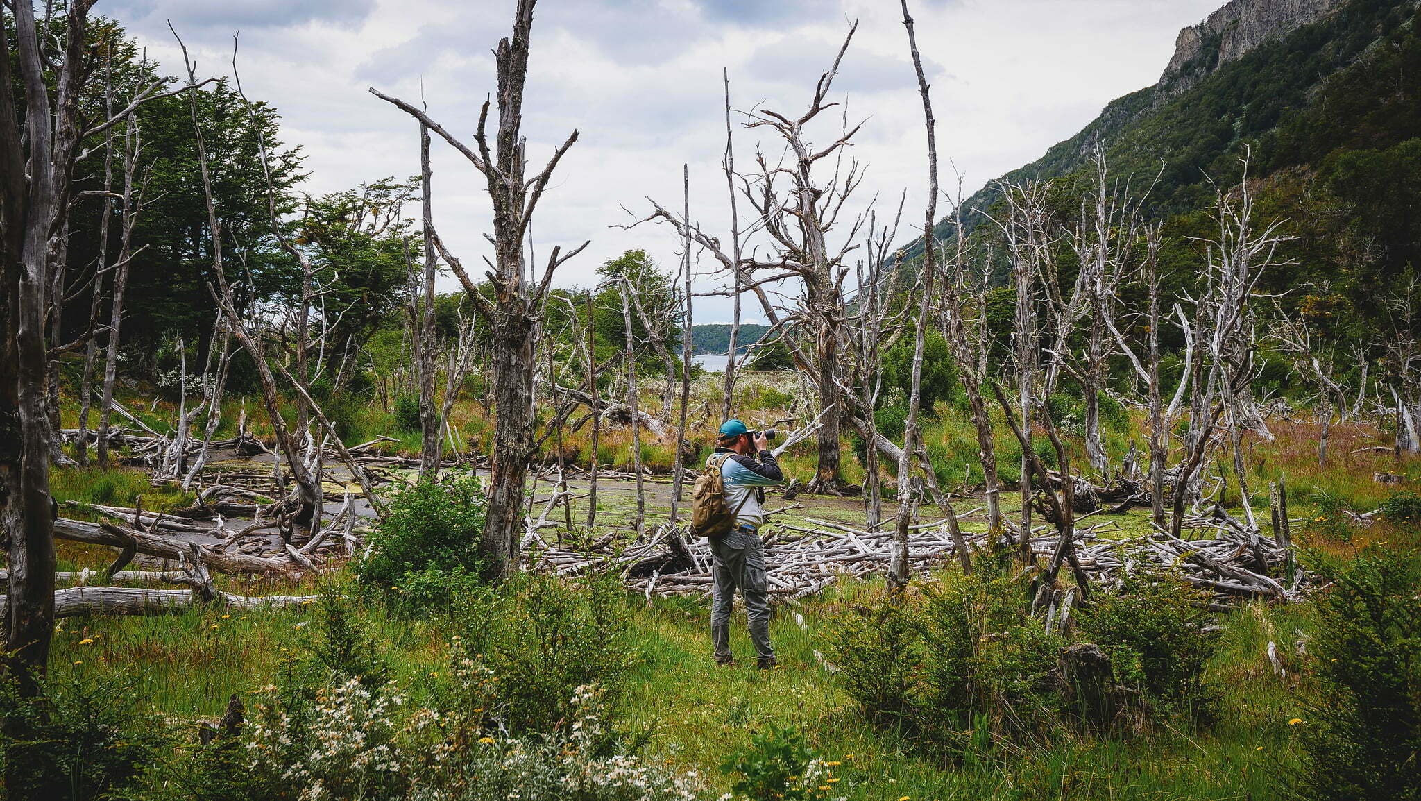 Nomadic Samuel Trekking and Taking photos in Tierra Del Fuego, Argentina 
