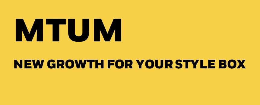 MTUM ETF New Growth For Your Style Box 