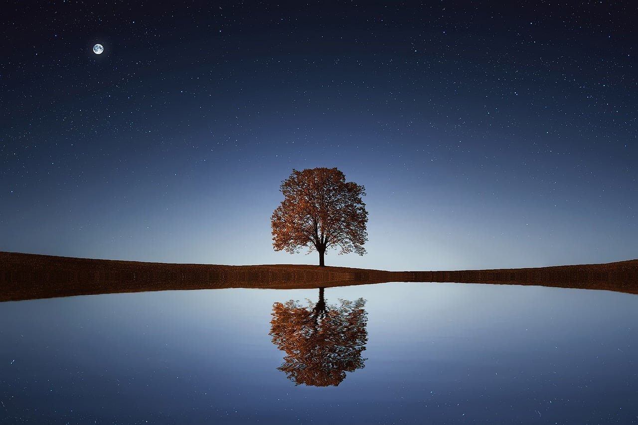 iShares MSCI USA Min Vol Factor ETF Review | USMV ETF Review calm lake at night with tree reflection and moon 