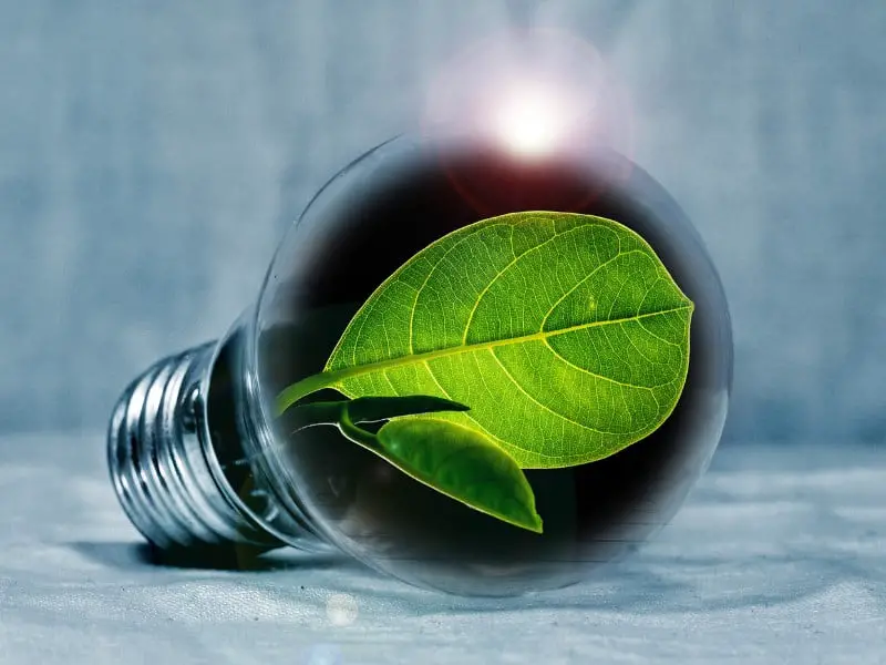 Investing in Green Energy: Harnessing Sustainable Investments for Portfolio Growth