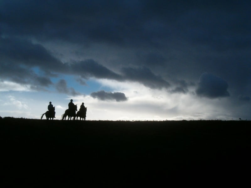 All Weather Portfolio: Ride Out The Storm with AW Diversification 