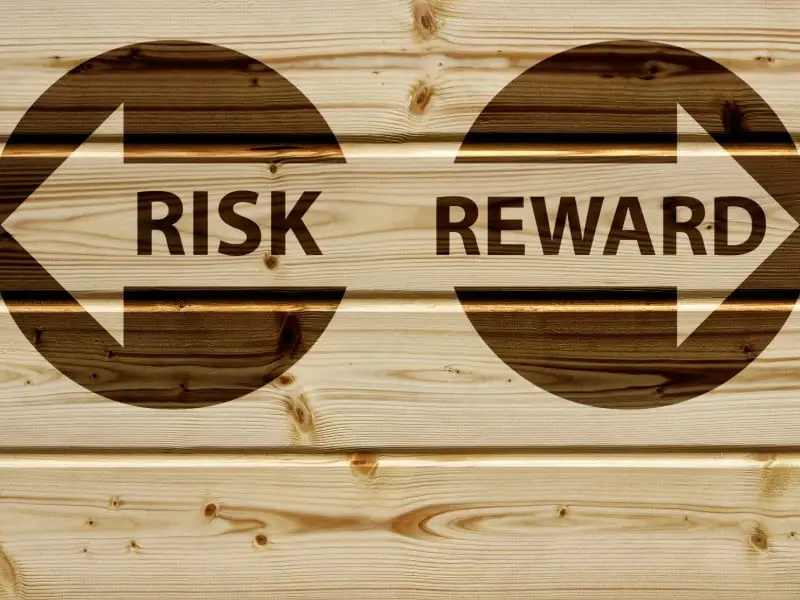 Balancing risk and reward as investors 