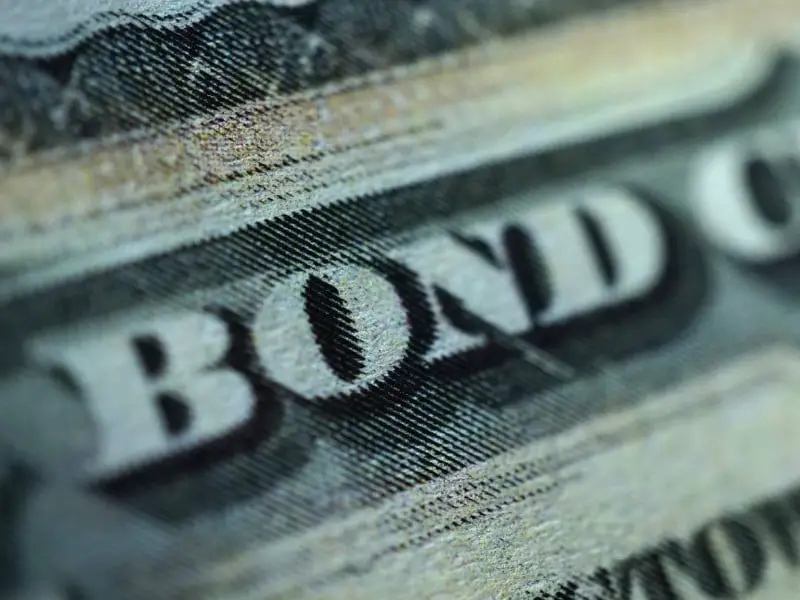 The Role of Bonds in Your Investment Portfolio: Preserving Capital and Generating Income