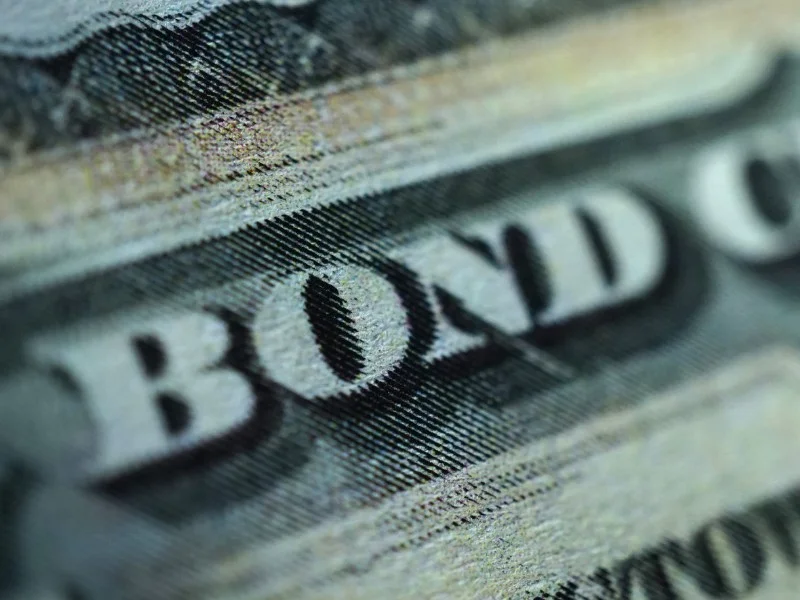 The role of bonds in your portfolio to generate income and capital appreciation 