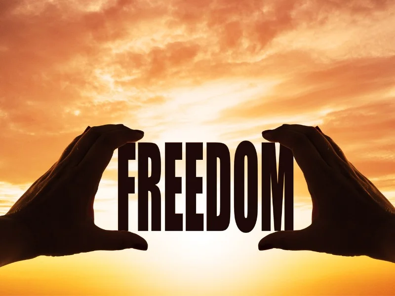 MBOX ETF: Review Of The Strategy Behind Freedom Day Dividend ETF